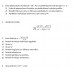 Ekonomistiem, 1. Variants